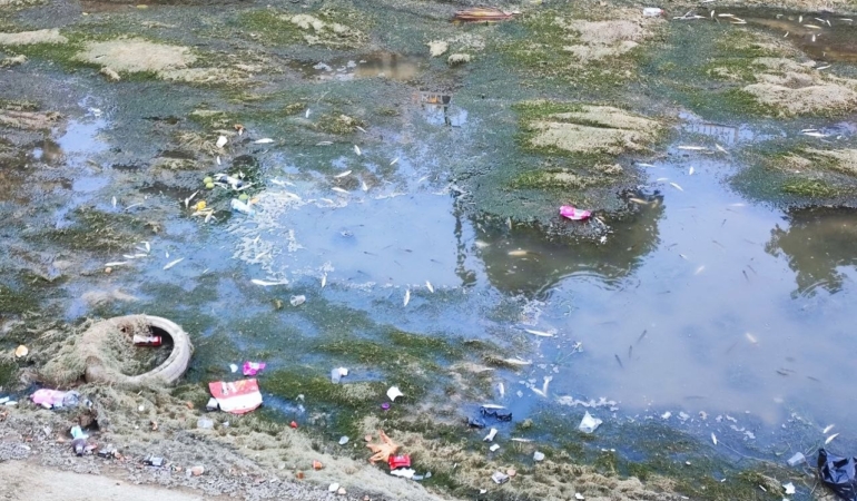 sulama-kanalindaki-baliklar-telef-olmaya-devam-ediyor-IYAEECXN.jpg