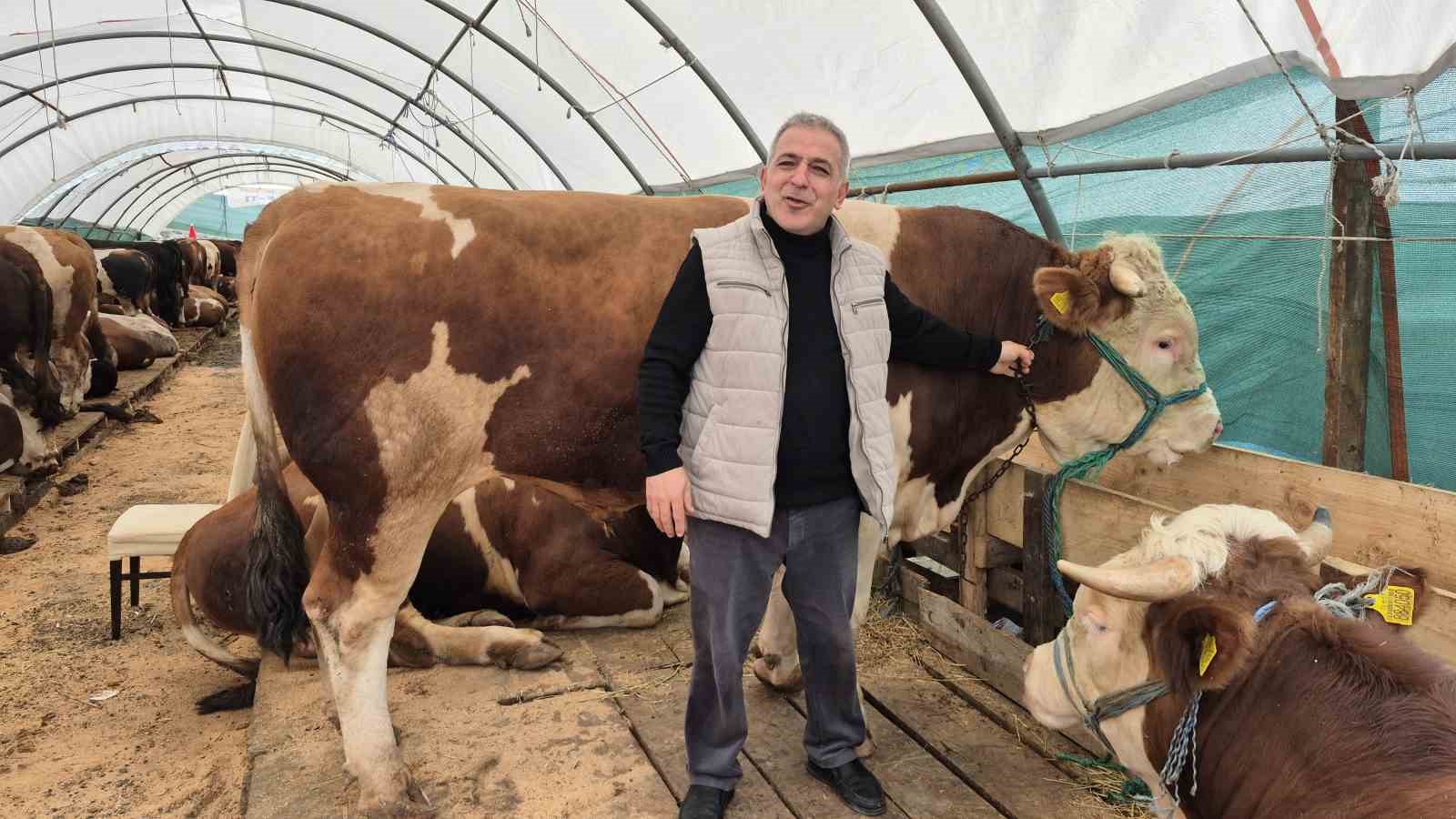 sultangazi kurban pazarinda hareketlilik basladi 1
