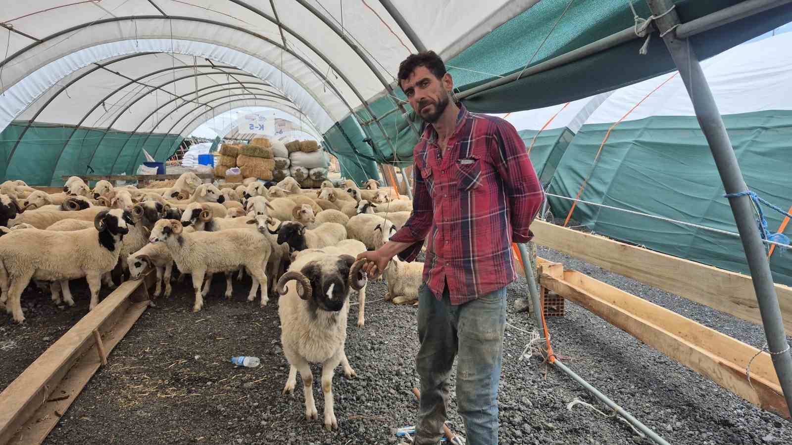 sultangazi kurban pazarinda hareketlilik basladi 4