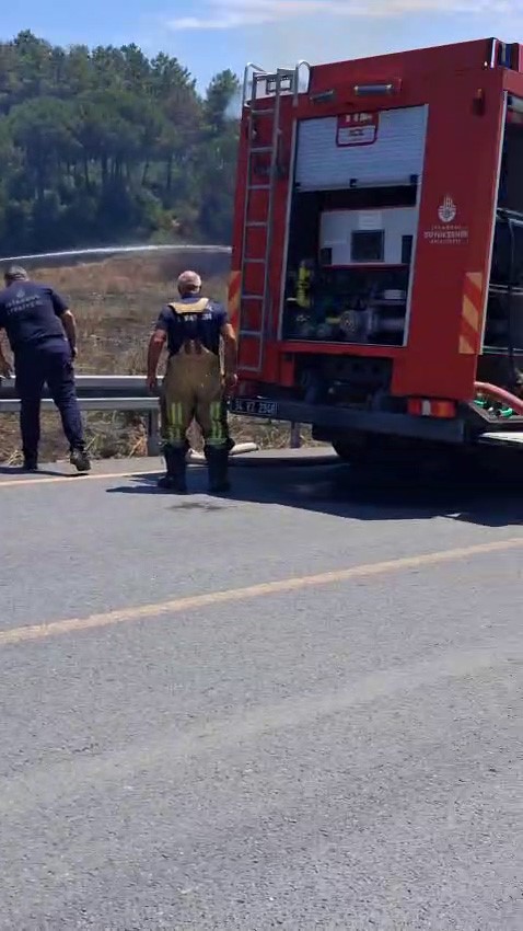 Sultangazi’de otluk alanda çıkan yangın ormana sıçradı 5 sultangazide otluk alanda cikan yangin ormana sicradi 1