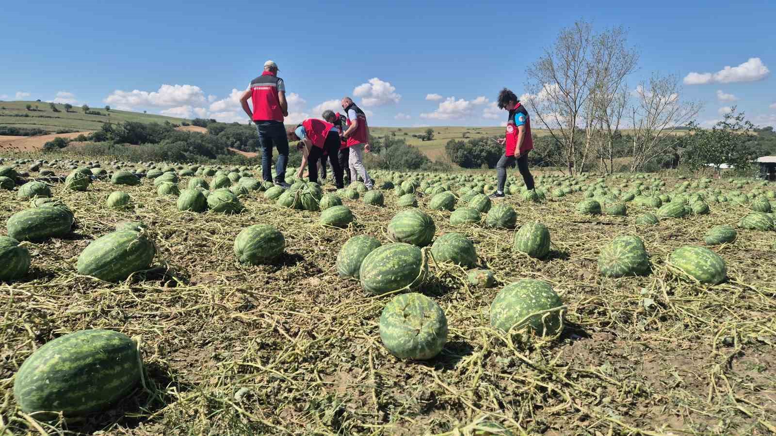 Süper hücre Tekirdağ’ı vurdu: 4 köy zarar gördü 11 super hucre tekirdagi vurdu 4 koy zarar gordu 7 Py4turBX