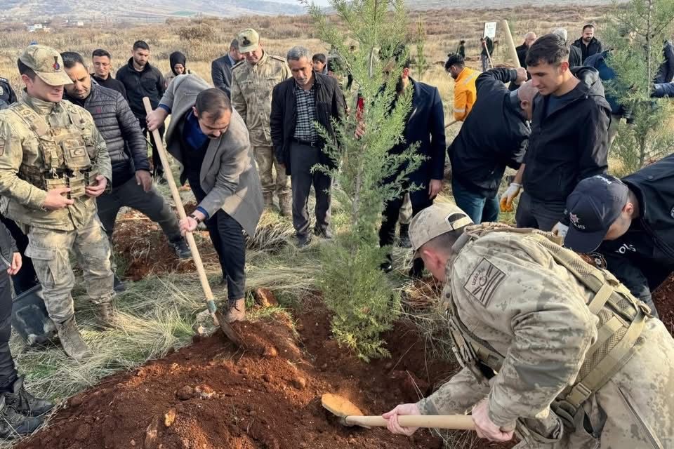 sur olaylarinda sehit dusen kolluk kuvvetleri icin diyarbakirda fidan dikildi 1 NzHjOFyy