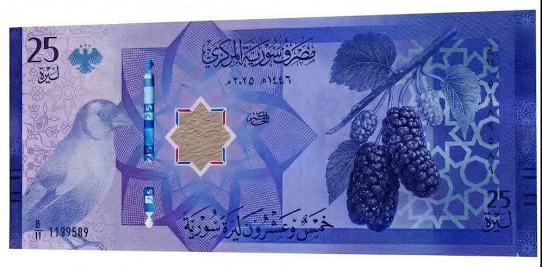 suriyenin yeni banknotlari tanitildi 5 tmtI3wwI