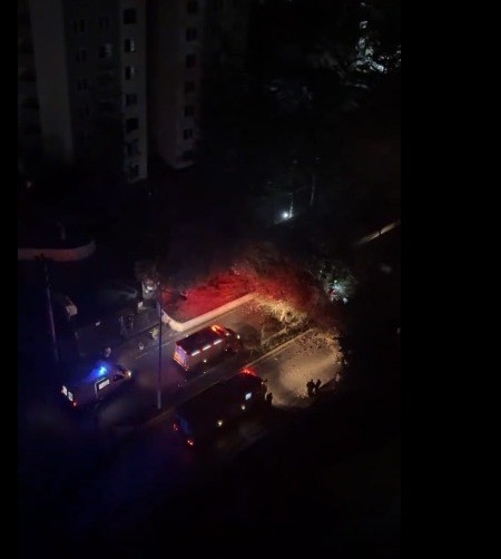 surucusunun icinde oldugu otomobilin uzerine agac devrildi 1 5F2fnpLO