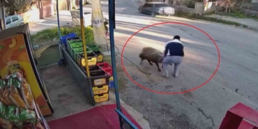 surunun-gecisi-esnasinda-3-metrelik-kuyuya-dusen-koyunu-esnaf-kurtardi-o-anlar-kamerada-wvqXkOl2.jpg