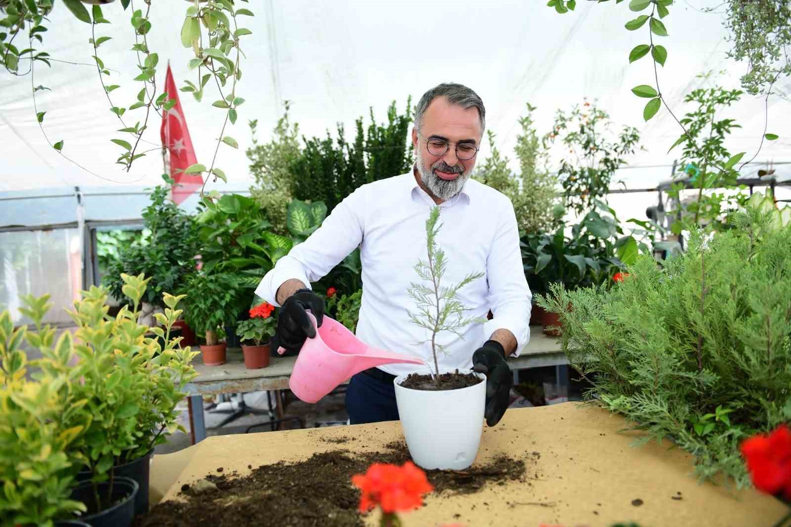 sus bitkileri uretimi kestel belediyesi ile dunya pazarina aciliyor 3 p9hHAkFs