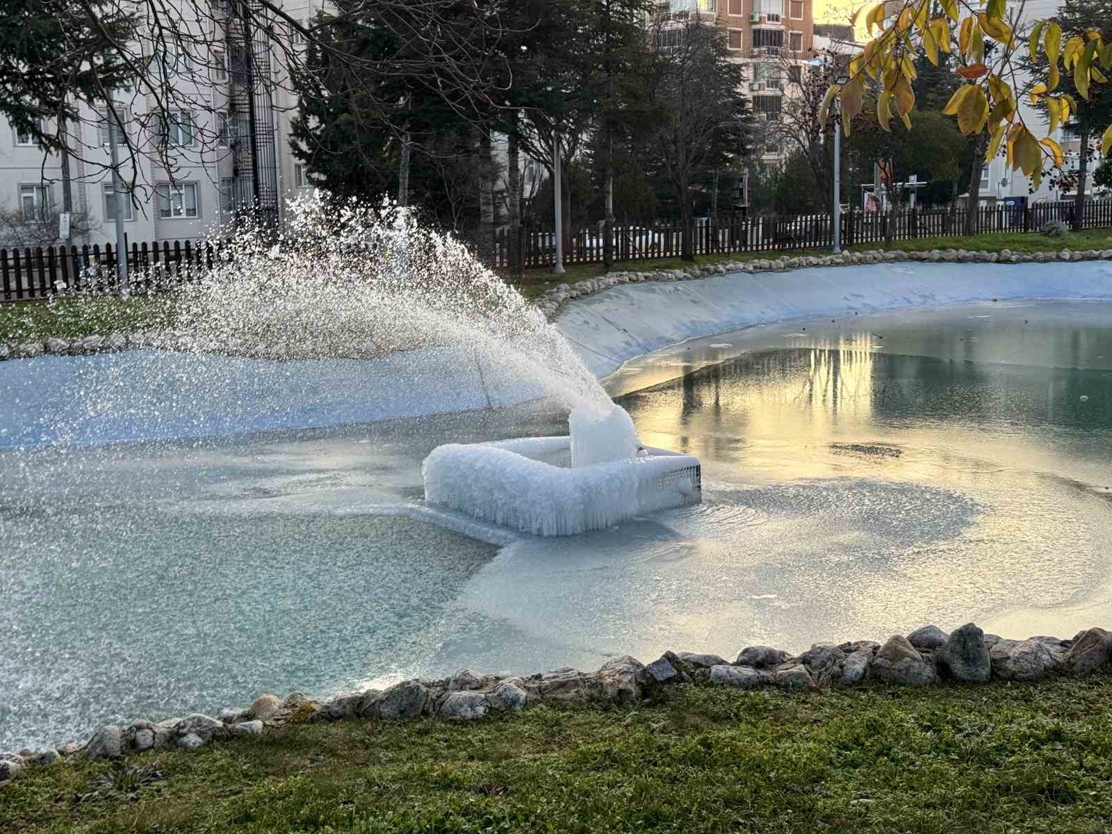 sus havuzlari buz heykeline donustu 2
