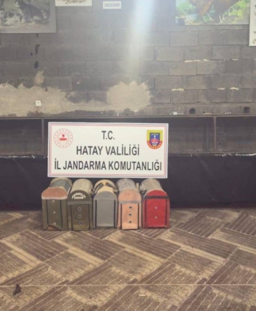 sus-kanatli-sokak-hayvanlari-koruma-derneginde-horoz-dovusturerek-kumar-oynayan-76-kisiye-ceza-yagdi-GGq2Xgzi.jpg