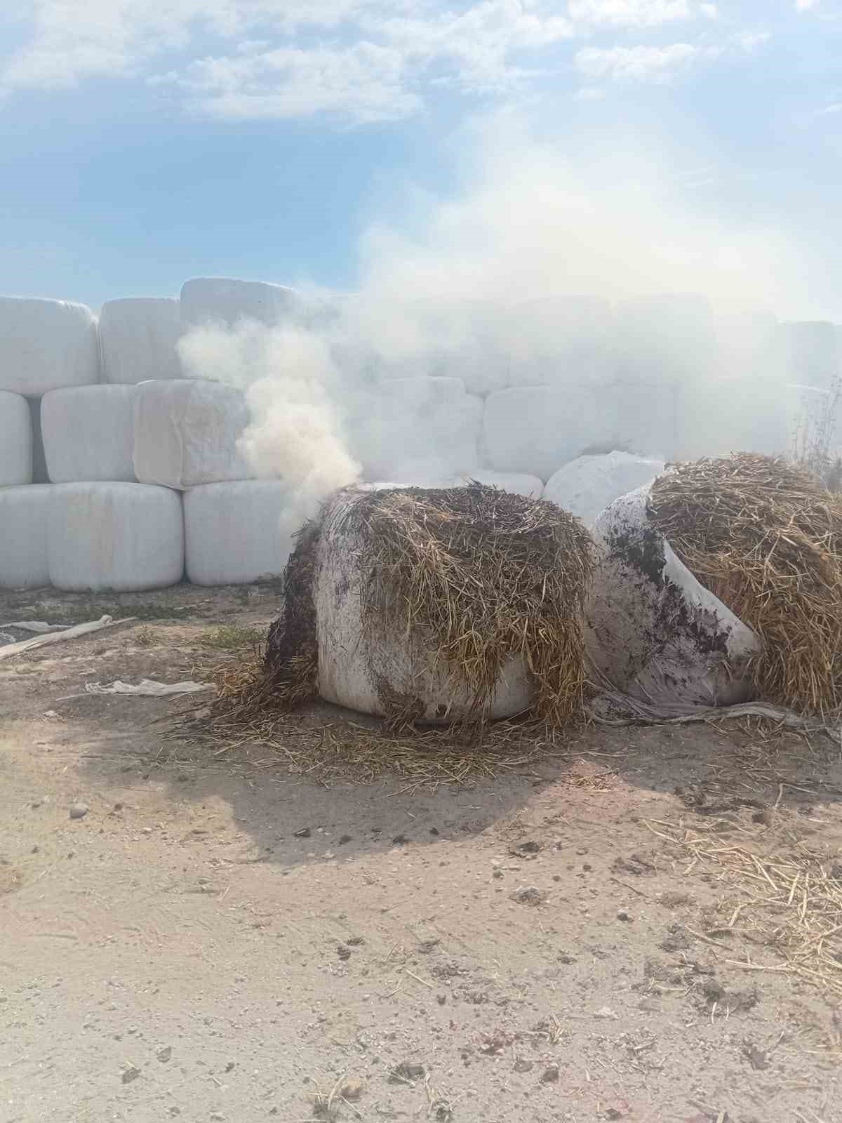 susurlukta cikan yanginda 1 ton saman kullanilamaz hale geldi 3 2CcJBeYV