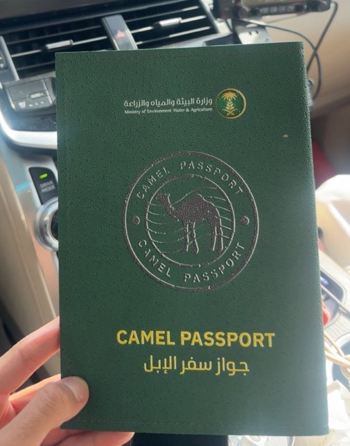suudi arabistandan develere pasaport uygulamasi 1 yFWriwMB