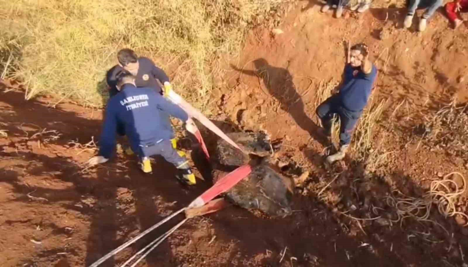 tahliye kanalina dusen inek kurtarildi 4 1ZDhMW5X