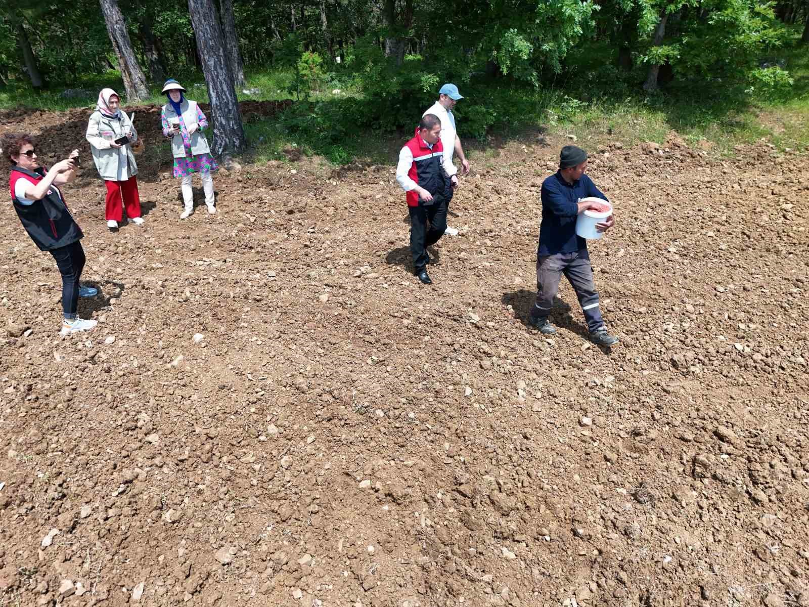 take projesiyle tarim arazileri bos kalmayacak 2 38NQKY7e