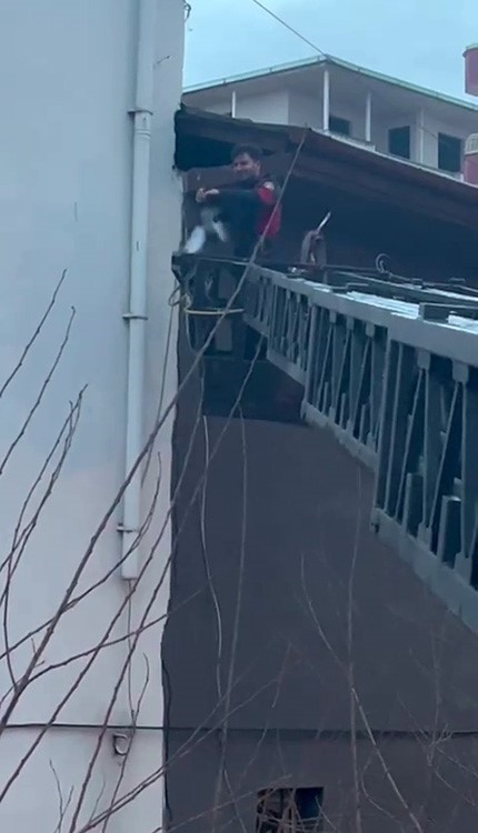 takildigi ipte asili kalan guvercin kurtarildi 1 rsM5uw72
