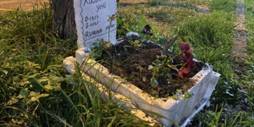 taksicilerden-vefaolen-muhabbet-kuslari-icin-mini-mezar-yaptilar-QfUUzzSR.jpg