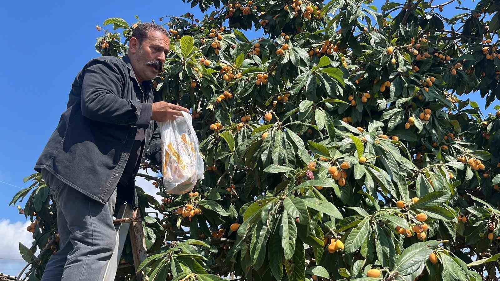 Talep azalınca bedava dağıttı, poşetini alan bahçeye koştu 5 talep azalinca bedava dagitti posetini alan bahceye kostu 1 vjjmqAm2