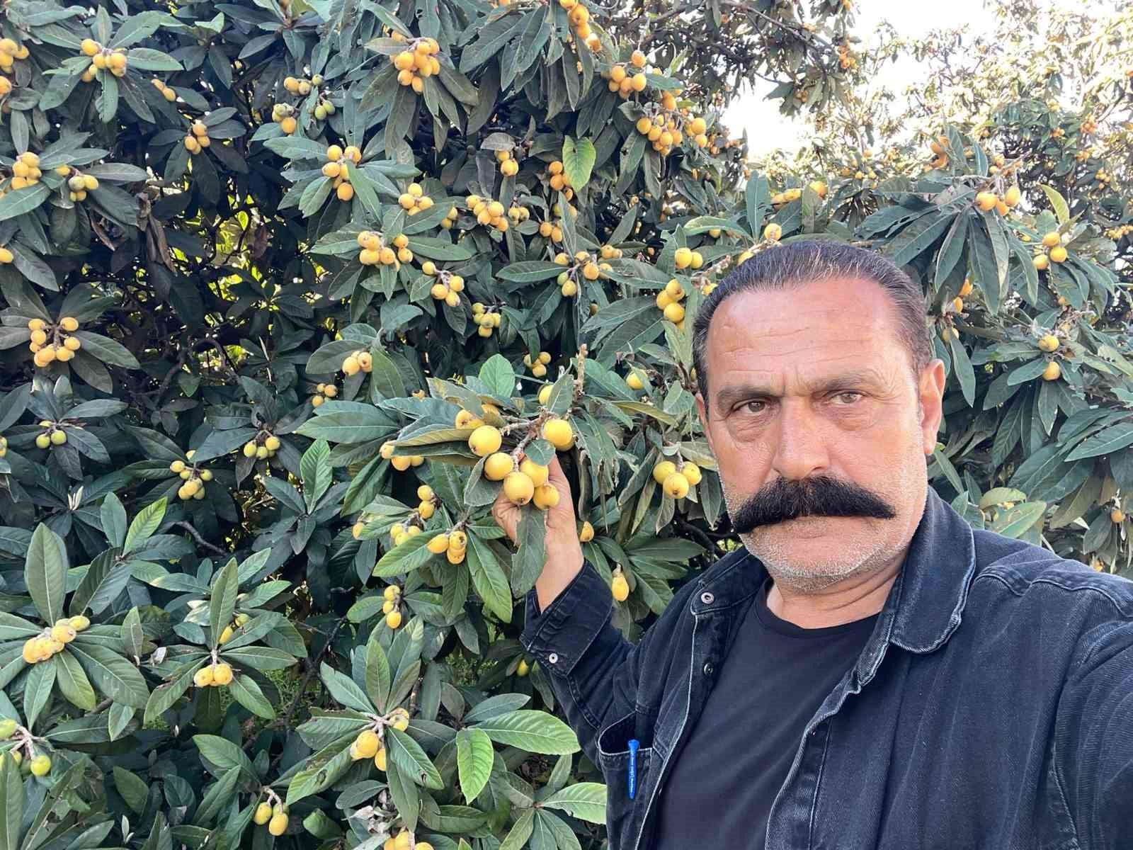 Talep azalınca bedava dağıttı, poşetini alan bahçeye koştu 6 talep azalinca bedava dagitti posetini alan bahceye kostu 2