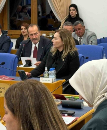 tamer-osmanagaoglundan-butce-gorusmelerinde-aliaga-vurgusu-gazN94KD.jpg