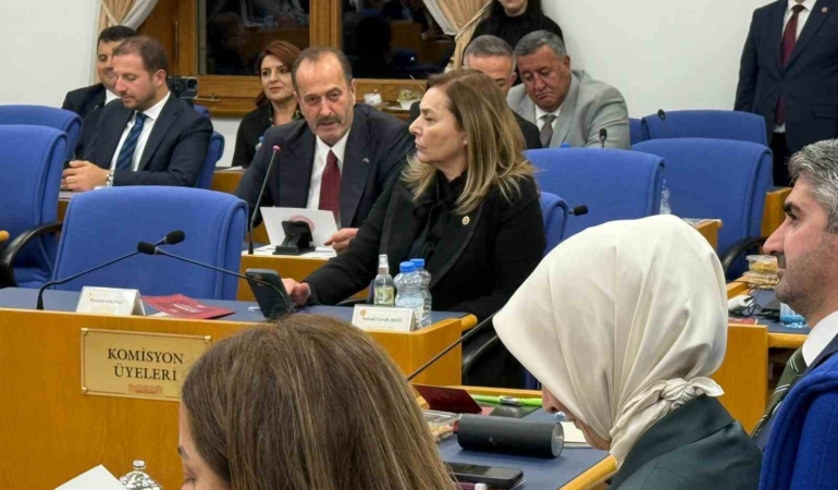 tamer-osmanagaoglundan-butce-gorusmelerinde-aliaga-vurgusu-gazN94KD.jpg