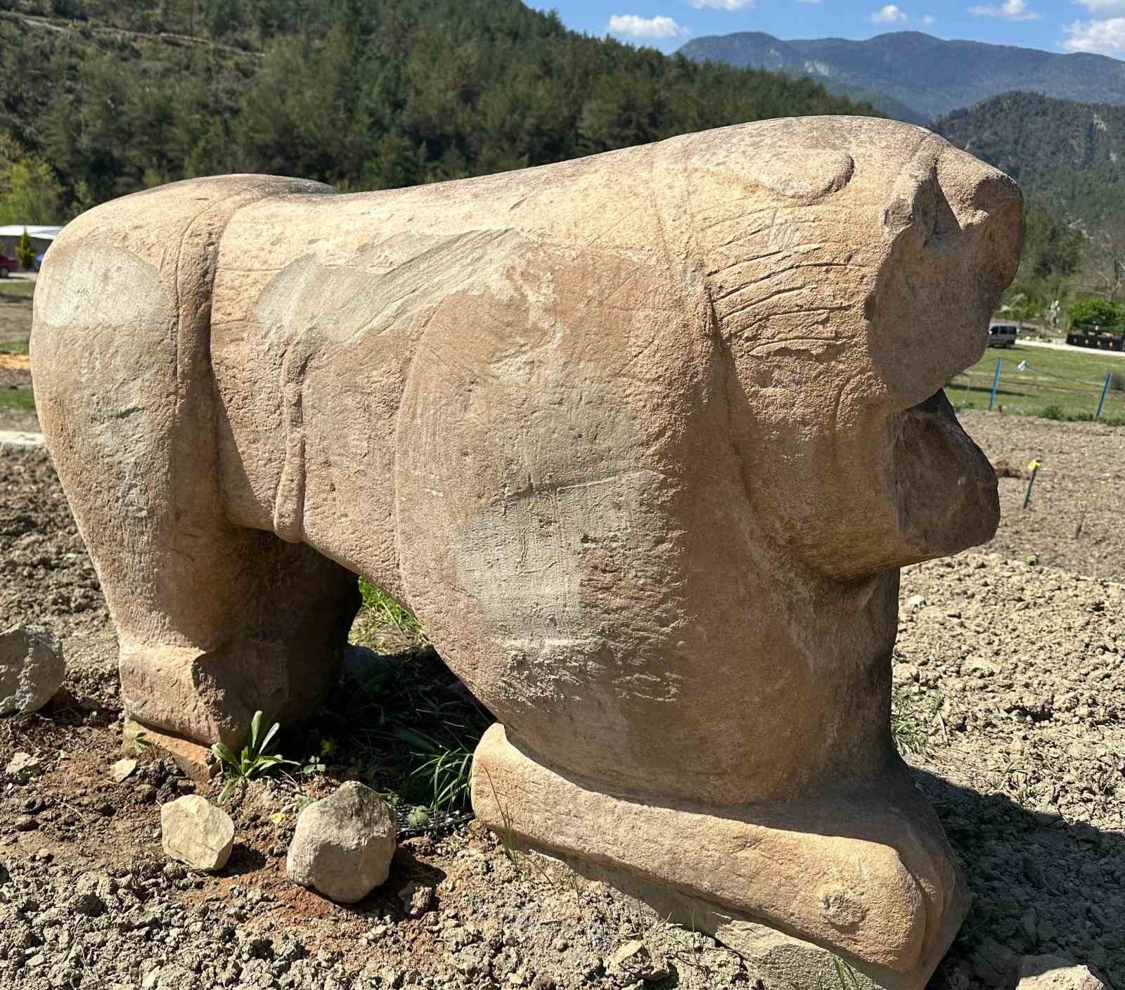 Tarihi eser operasyonunda Roma dönemine ait aslan heykeli ele geçirildi 5 tarihi eser operasyonunda roma donemine ait aslan heykeli ele gecirildi 1 SVCIOw3Q