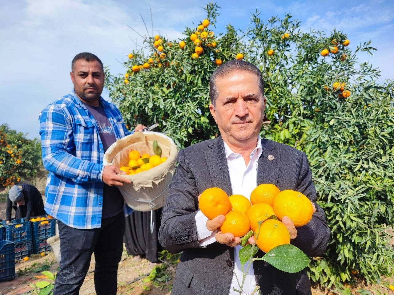 tarim iscilerinin grevi mandalinayi dalinda birakti kilosu 3 liraya kadar geriledi 5 lgUGqdJg
