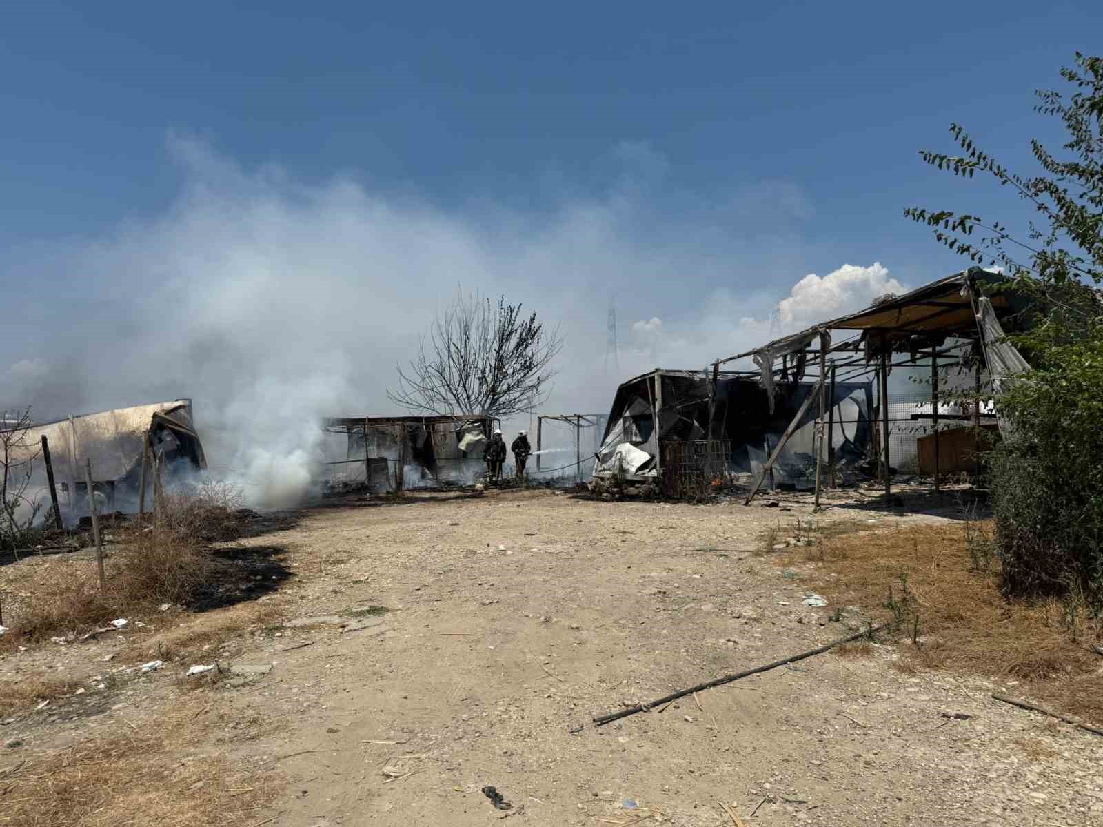 tarim iscisi annenin yangin gozyaslari 7 yildir kaldigi konteyner gozleri onunde kule dondu 6 VLdvXlVw