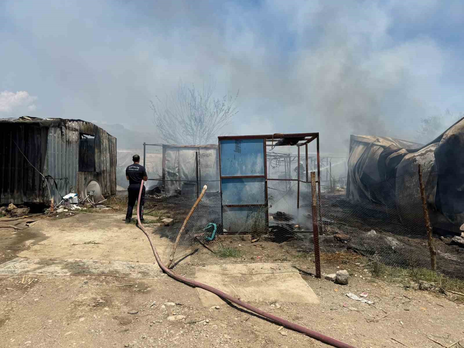 tarim iscisi annenin yangin gozyaslari 7 yildir kaldigi konteyner gozleri onunde kule dondu 7 VBmtW4Cj