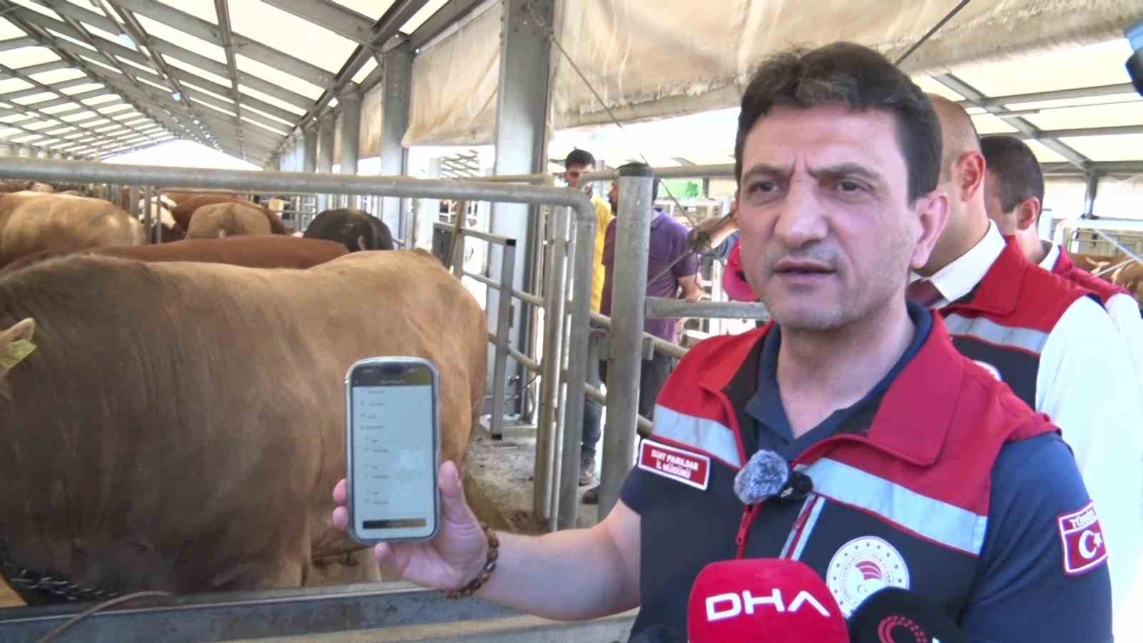 tarim ve orman il muduru parildar bayram boyunca denetimlerimiz 7 gun 24 saat devam 5WXVeRtU