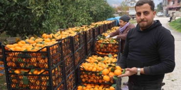 tarla-fiyati-2-tlye-kadar-gerileyen-mandalina-ureticilerinden-market-fiyatlarina-tepki-2xmzzNKQ.jpg