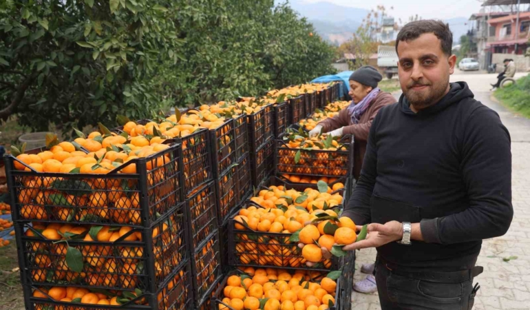 tarla-fiyati-2-tlye-kadar-gerileyen-mandalina-ureticilerinden-market-fiyatlarina-tepki-2xmzzNKQ.jpg