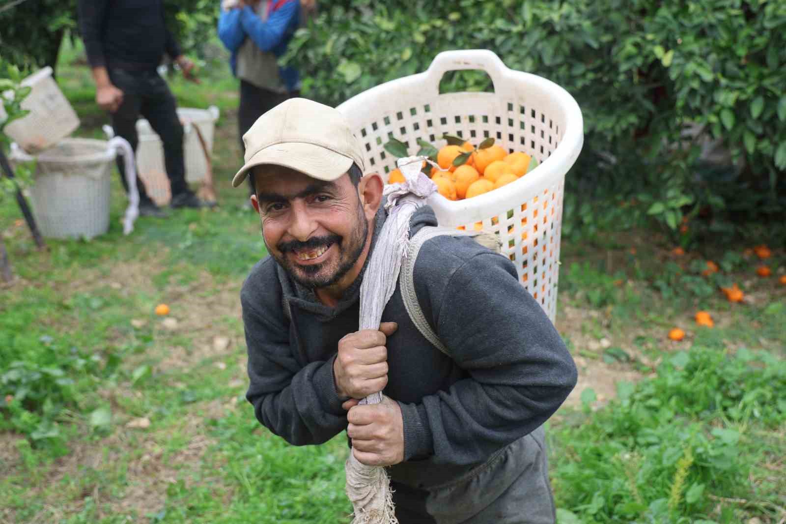 Tarla fiyatı 2 TL’ye kadar gerileyen mandalina üreticilerinden market fiyatlarına tepki 7 tarla fiyati 2 tlye kadar gerileyen mandalina ureticilerinden market fiyatlarina tepki 3 q3erPtmr