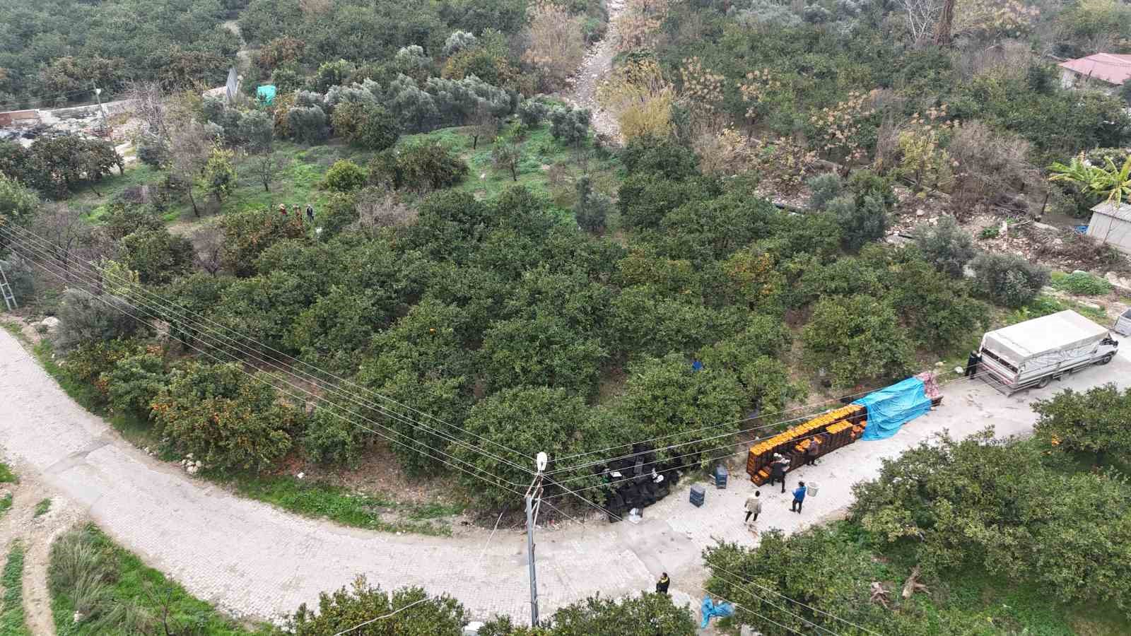 Tarla fiyatı 2 TL’ye kadar gerileyen mandalina üreticilerinden market fiyatlarına tepki 8 tarla fiyati 2 tlye kadar gerileyen mandalina ureticilerinden market fiyatlarina tepki 4