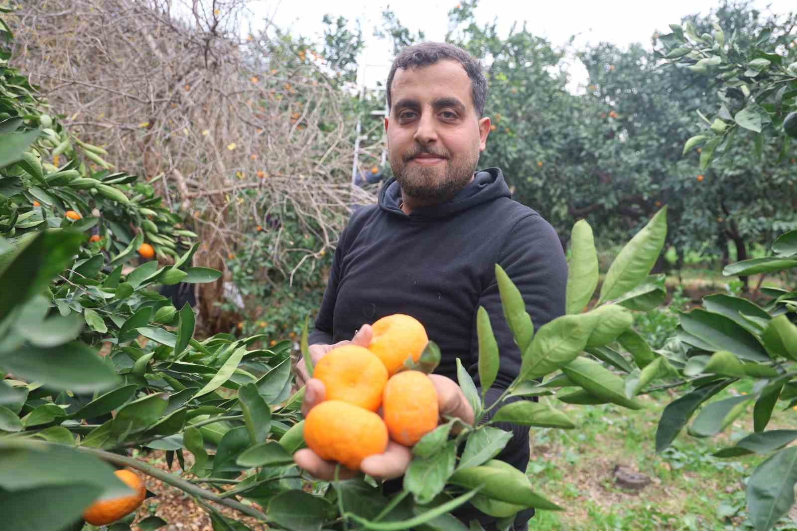 Tarla fiyatı 2 TL’ye kadar gerileyen mandalina üreticilerinden market fiyatlarına tepki 13 tarla fiyati 2 tlye kadar gerileyen mandalina ureticilerinden market fiyatlarina tepki 9 Uyi6peEk