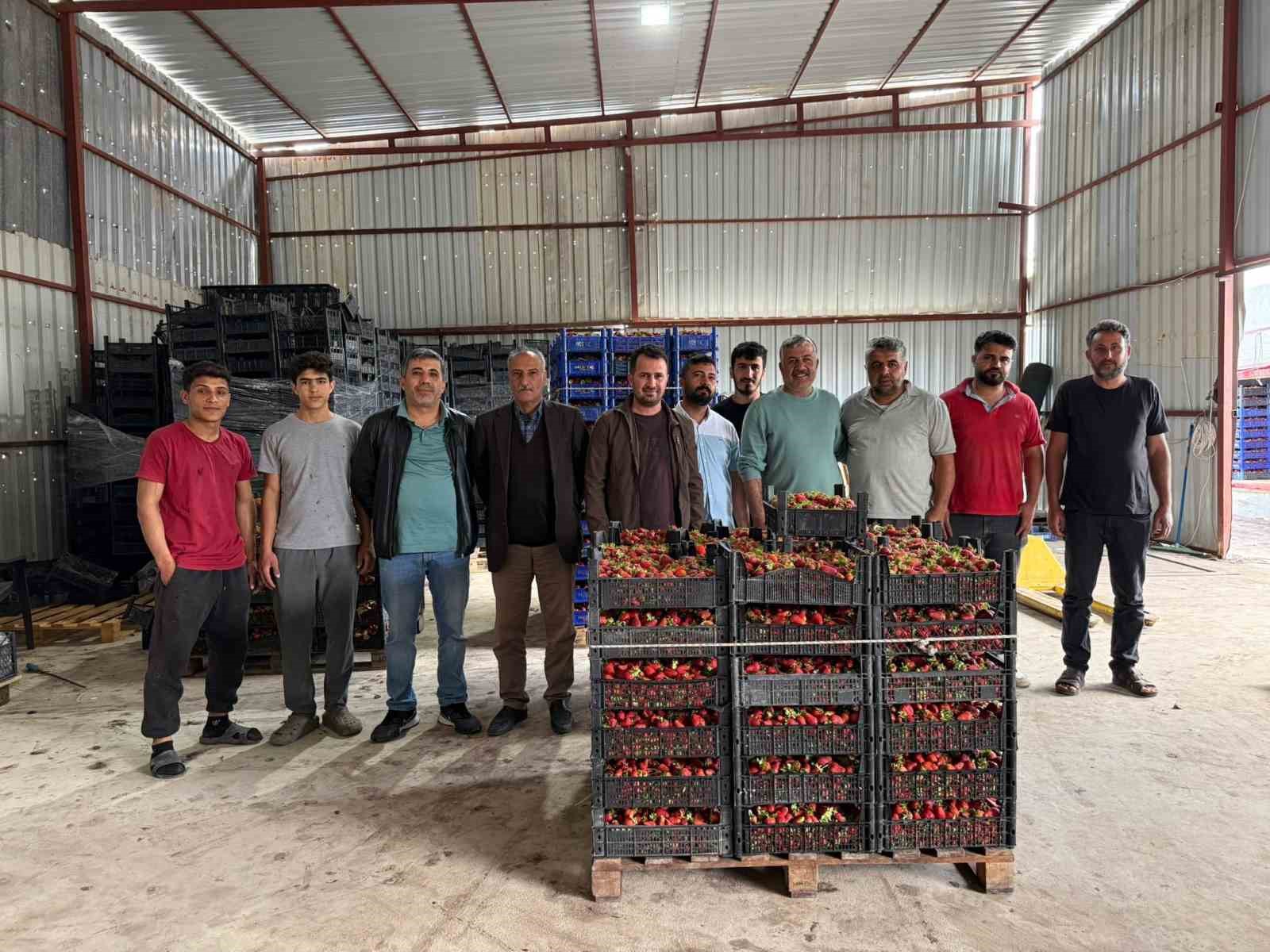 tarla ile market raflari arasindaki farka uretici bile inanamiyor 2 KyQvIYOP
