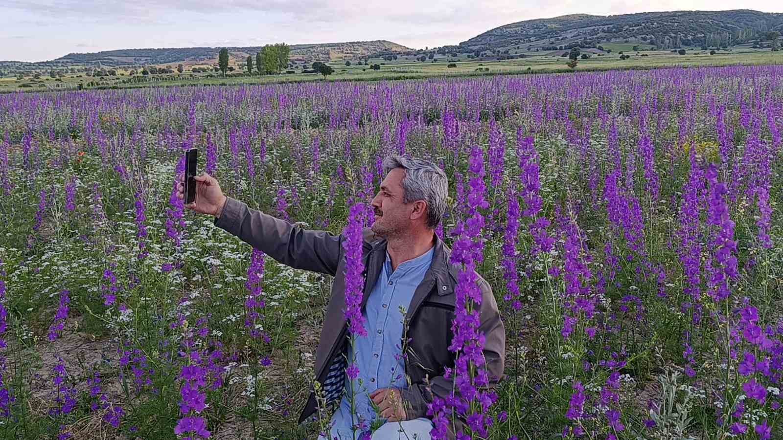 tarlalar mora boyandi cicekler resim tablosunu andirdi 2 zVC967d2