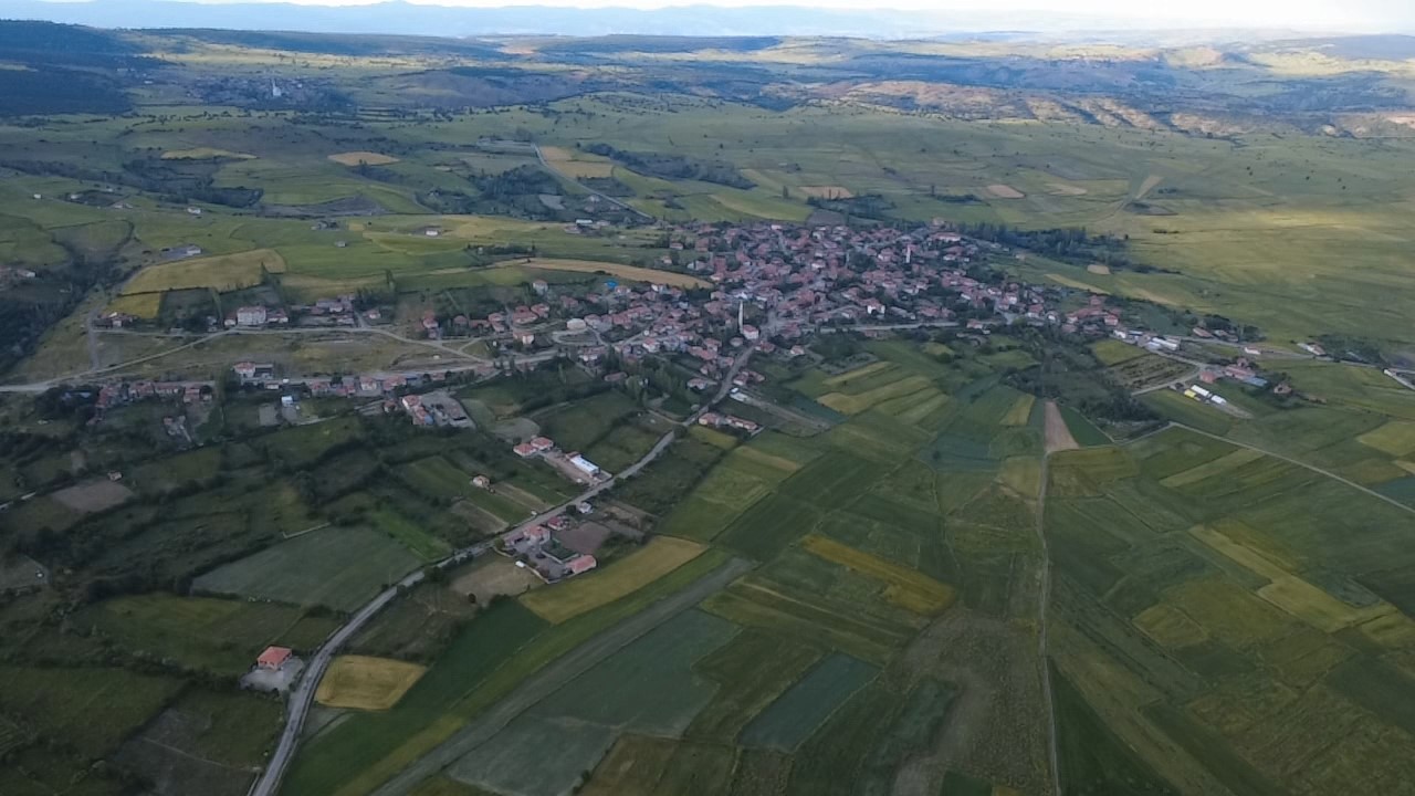 tarlalar mora boyandi cicekler resim tablosunu andirdi 5 VXK5OUrj