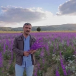 tarlalar-mora-boyandi-cicekler-resim-tablosunu-andirdi-OX8piByz.jpg