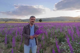 tarlalar-mora-boyandi-cicekler-resim-tablosunu-andirdi-OX8piByz.jpg
