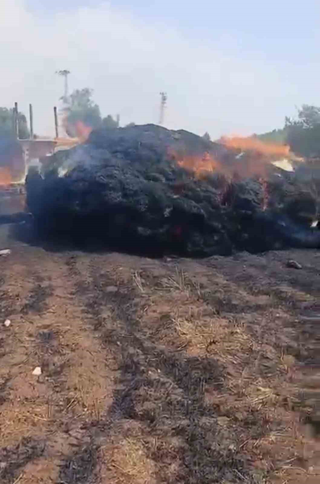 tarsusta saman balyalari alevlere teslim oldu 1 24ebPuNy