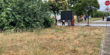 tartistigi-amcasini-palayla-oldurdu-gIDcd9f2.jpg