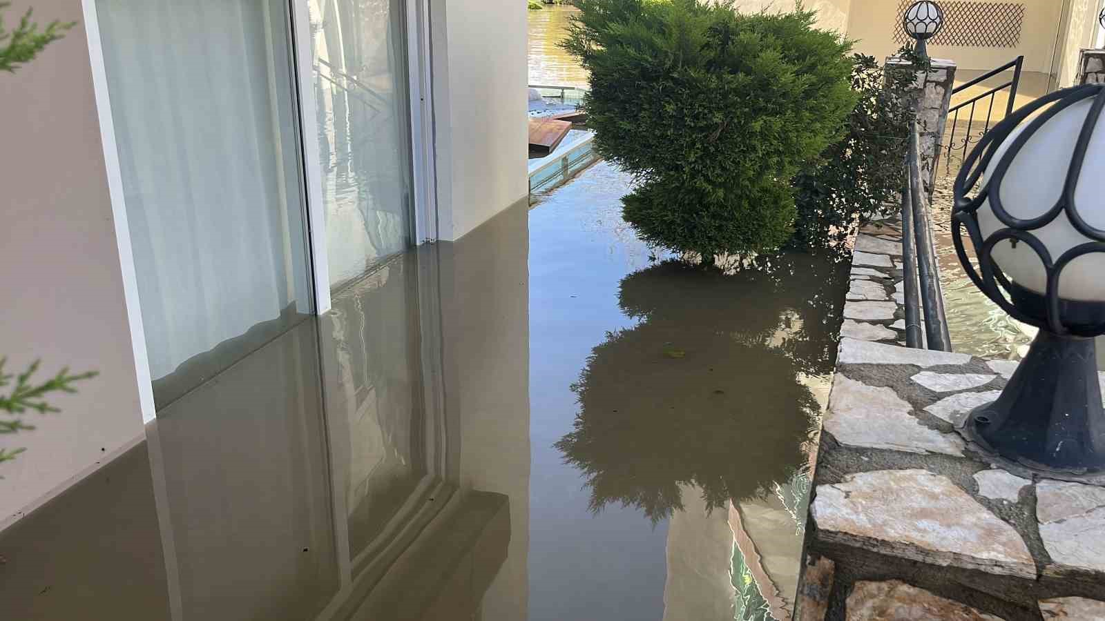 tasan caydaki isletme yikildi sulara kapilmak uzere olan bir kopek son anda kurtarildi 4 wG6jAXtJ