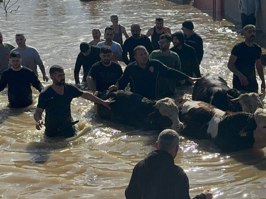 tasan gediz nehri dolayisiyla mahsur kalan 44 kisi ve 127 hayvan kurtarildi 0 T8qth852