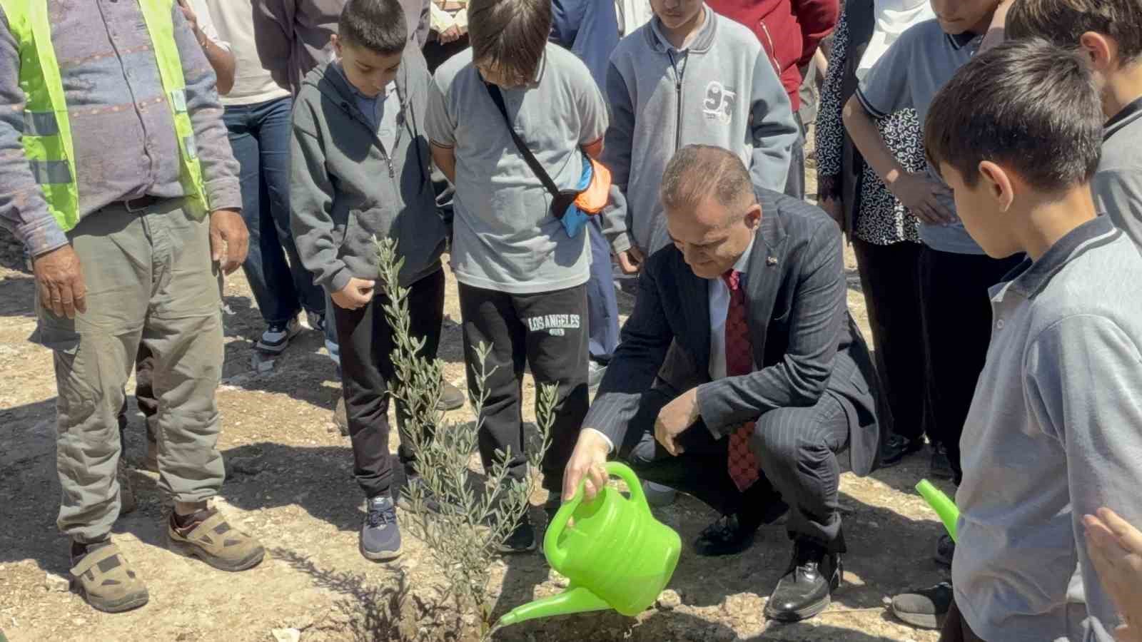 Taşınan her zeytin ağacına karşılık fidan: Milas’ta 4 bin zeytin toprakla buluştu 5 tasinan her zeytin agacina karsilik fidan milasta 4 bin zeytin toprakla bulustu 1