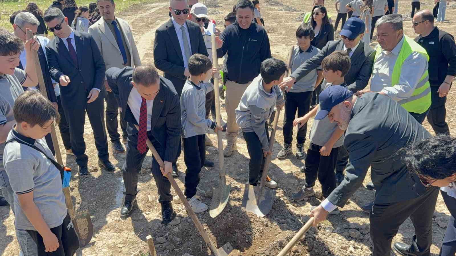 Taşınan her zeytin ağacına karşılık fidan: Milas’ta 4 bin zeytin toprakla buluştu 6 tasinan her zeytin agacina karsilik fidan milasta 4 bin zeytin toprakla bulustu 2 p6KNPYsQ