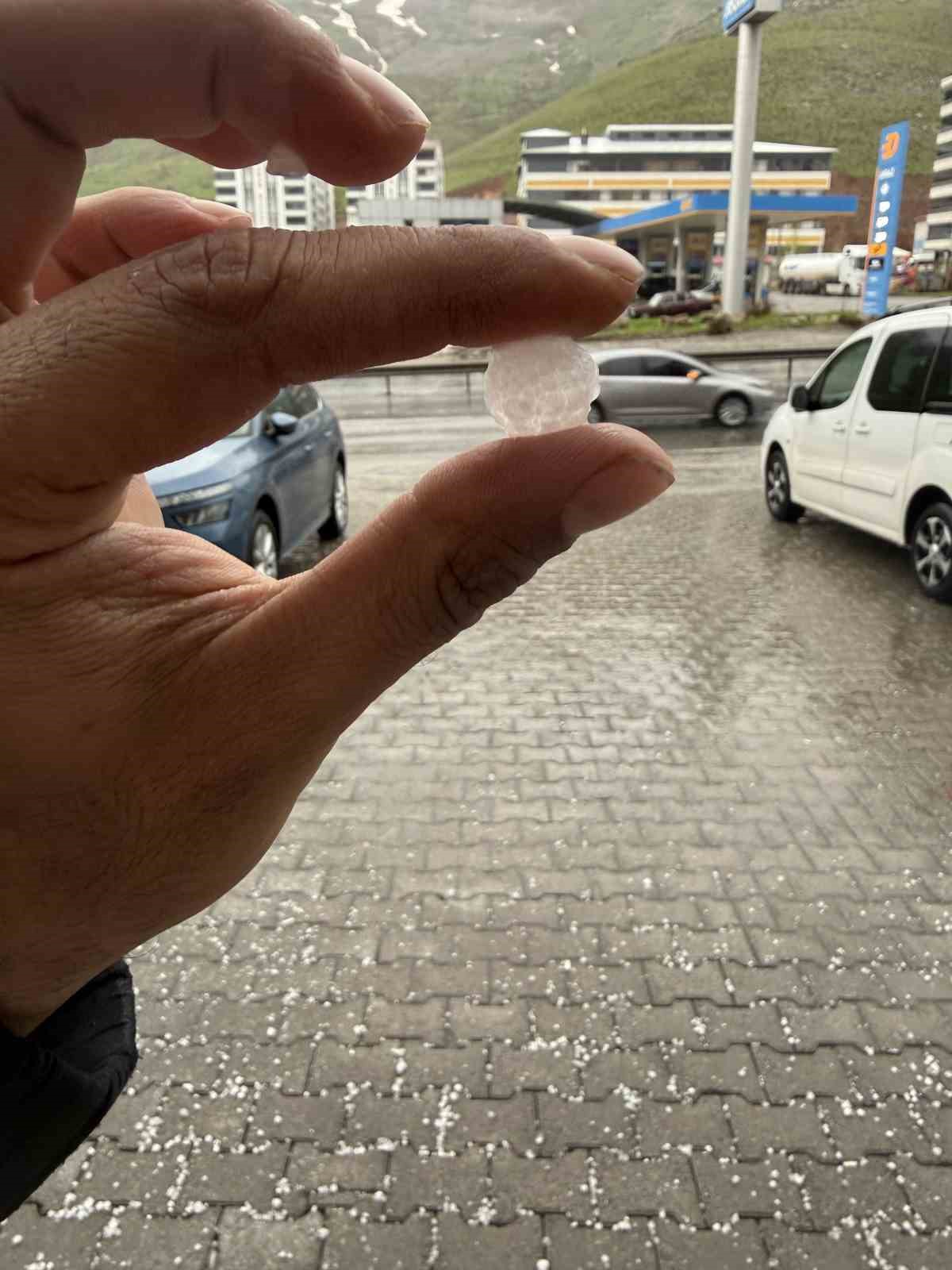 tatvanda dolu yagisi etkili oldu 3 pfAhkQNV