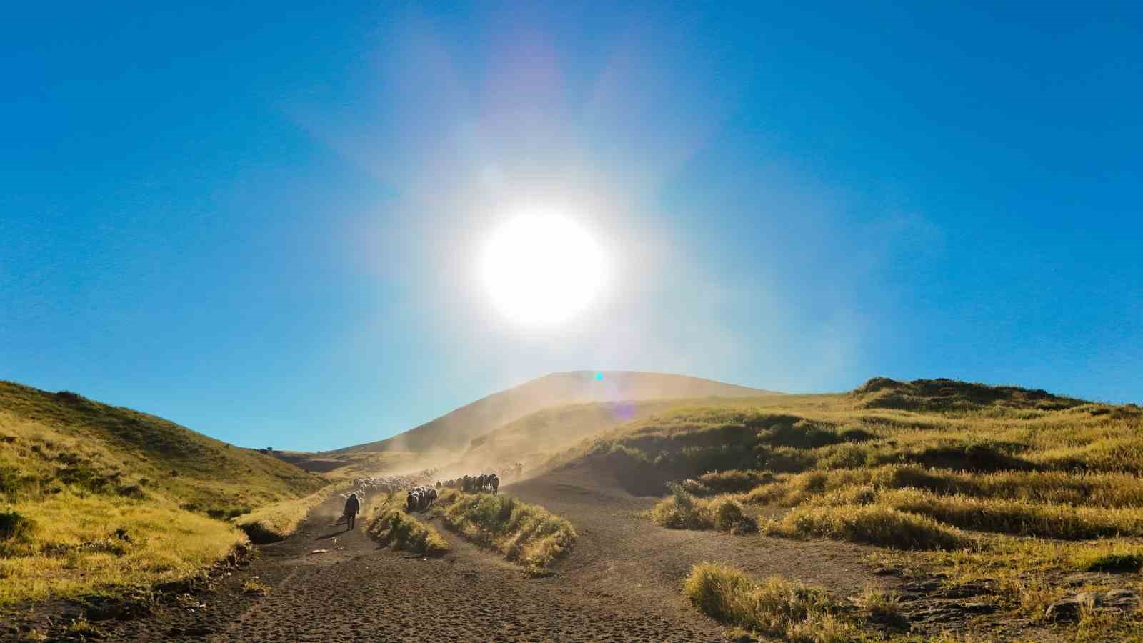 tatvanda surulerin tozlu yayla yolculugu essiz manzaralar olusturdu 1 ecgdjTkm