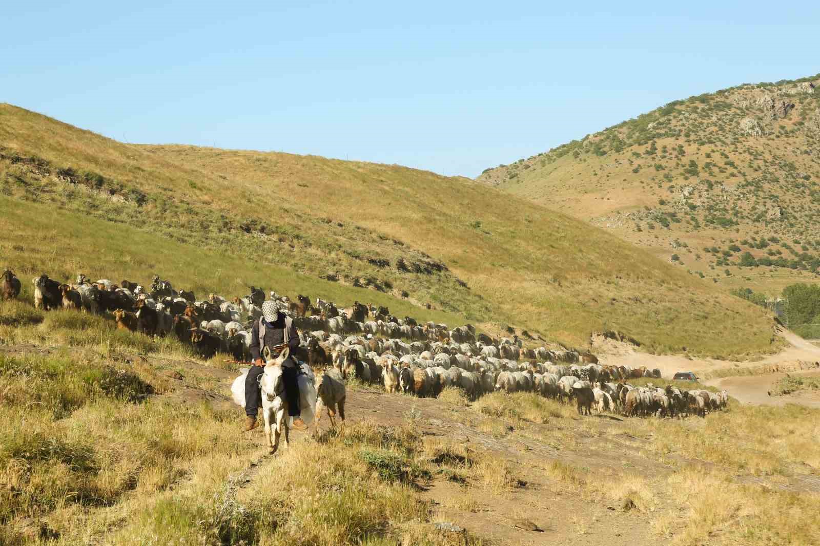 tatvanda surulerin tozlu yayla yolculugu essiz manzaralar olusturdu 3 Ck1QIehP