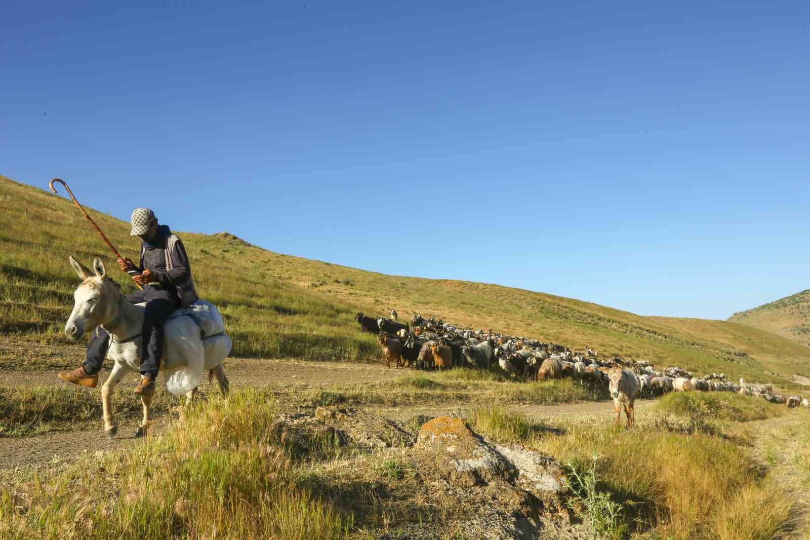tatvanda surulerin tozlu yayla yolculugu essiz manzaralar olusturdu 4 pk6OW6sG