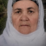 tatvanda-trenin-carptigi-yasli-kadin-hayatini-kaybetti-QsmHq2KF.jpg