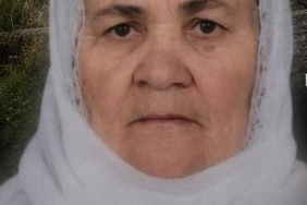 tatvanda-trenin-carptigi-yasli-kadin-hayatini-kaybetti-QsmHq2KF.jpg