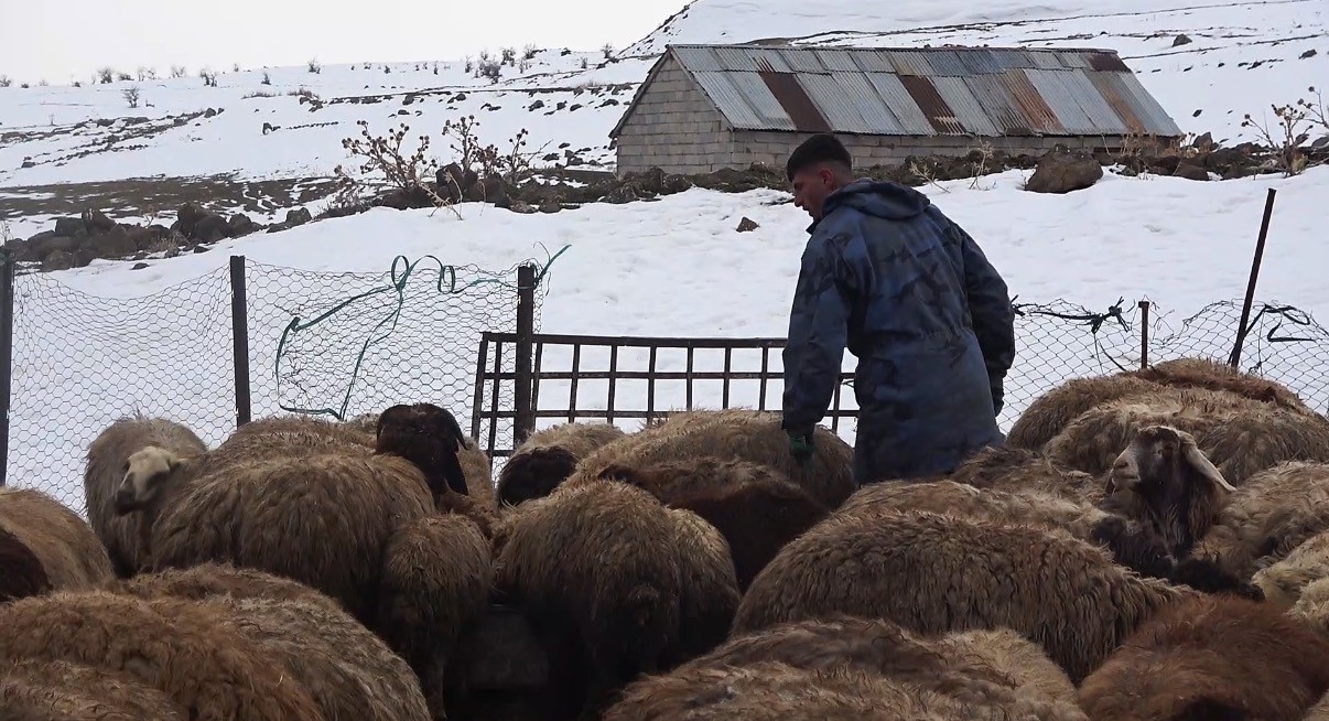 Tatvan’da yayladan besiye dönüş 7 tatvanda yayladan besiye donus 3 uRqsg45b